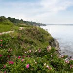 Serenity by the Sea: Discovering a Hidden Gem in Rhode Island