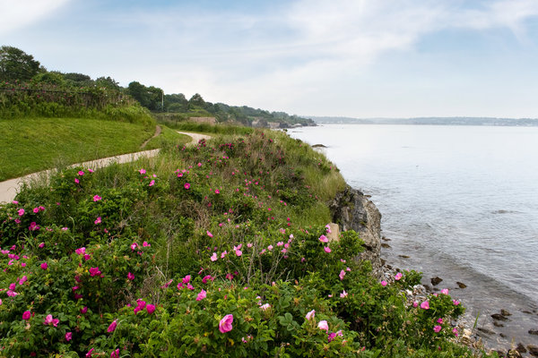 Serenity by the Sea: Discovering a Hidden Gem in Rhode Island
